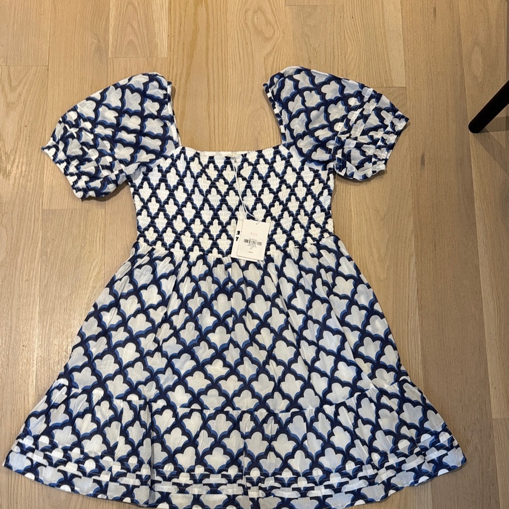 Roller Rabbit Blue and White Patterned Mini Dress